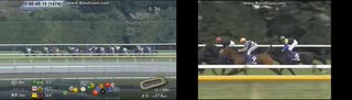 2024 ジャパンカップ(ドウデュース) vs 2006 ジャパンカップ(ディープインパクト)