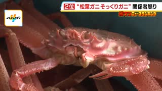 オオズワイガニ大量発生！？