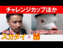 【【チャレンジC2024・ステイヤーズS2024】「スガダイ」×プロ予想MAX四天王「霧」の注目馬大公開！