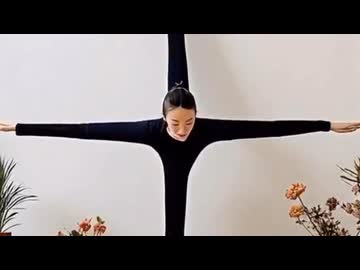 ホモと見る体が柔らかすぎてポケモンみたいになる女