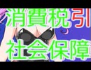 消費税引き上げ分は全額社会保障に使われているのか？ずんだもん適当語りシリーズ #ずんだもん  #四国めたん #冥鳴ひまり #経済 #voicevox #財務省