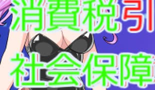消費税引き上げ分は全額社会保障に使われているのか？ずんだもん適当語りシリーズ #ずんだもん  #四国めたん #冥鳴ひまり #経済 #voicevox #財務省