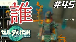 【ティアキン】祠コンプしたら知らん人のコスプレもらった ゼルダの伝説 ティアーズオブザキングダム Part45【ゲーム実況】