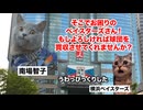 【南場智子 横浜DeNAベイスターズ】金は出すが野球には口出ししない！？日本一野球好きな女性球団オーナー #猫マニ #猫ミーム