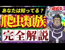 【必見！】種族別汎用カード解説 爬虫類族編【遊戯王マスターデュエル-Yu-Gi-Oh!  Master Duel】