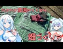 2024年11月29日　農作業日誌P1194　枯れたような畑にたくさん肥料を入れて畑づくり