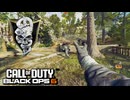 【CoD:BO6】FFA ナイフ＆アックス13連続キル