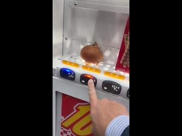 ホモと見る何が売っているのか気になる自販機