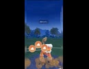 #ポケモンgo #gbl  オリジンディアルガ ランドロス ミュウツー ランドロス オリジンディアルガ ゼルネアス #shorts #マスターリーグ #pokemon