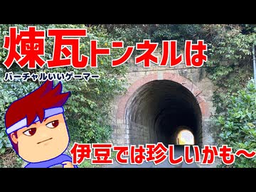 『海沿いの、人目につかない岩場のカゲ』じゃん……編。【バーチャルいいゲーマー佳作選】