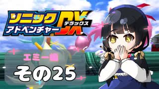 【ソニックアドベンチャーDX】懐かしさに焼かれるゆるりんごのスピード世界マイWAY！その25【エミー】