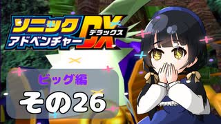 【ソニックアドベンチャーDX】懐かしさに焼かれるゆるりんごのスピード世界マイWAY！その26【ビッグ】