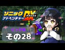 【ソニックアドベンチャーDX】懐かしさに焼かれるゆるりんごのスピード世界マイWAY！その28【ビッグ】
