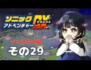 【ソニックアドベンチャーDX】懐かしさに焼かれるゆるりんごのスピード世界マイWAY！その29【ナックルズ】