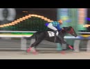 2024年11月29日船橋競馬7R 森羅万象賞(C2) ビレッジスティール（自分撮り）