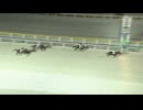【森泰斗騎手、現役最後の勝利】2024年11月29日船橋競馬7R 森羅万象賞(C2) ビレッジスティール