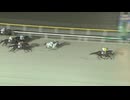 【森泰斗騎手、現役最終騎乗】2024年11月29日船橋競馬12R ありがとう！森泰斗騎手(C1) グロリアンズタイム