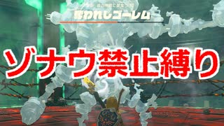 ゾナウ禁止縛りpart56【ティアキン/制限プレイ/ゼルダの伝説ティアーズオブザキングダム】