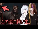 【DbD】自由形DBD １４８本目【ソフトウェアトーク実況】