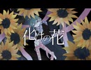 【オリジナルMV】新人歌い手が『化けの花』歌ってみた/きりあめ。