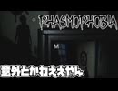 ちょっとかわいい幽霊撮ってみる【phasmophobia】