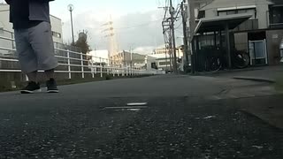 さとり大川内優女性会社員鷹富士茄子 道路にて