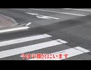 潮来祭で屋台とか出るのが18:00〜らしいのでその間まで宇都宮とかで時間潰してます。【多分総合で350kmくらいの移動】