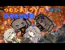 【車載動画】つむひまドライブ＃24　日光市の紅葉【VOICEVOX】