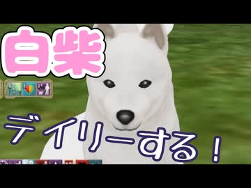 【MasterofEpic】毎日の日課　白柴でデイリーする！【声実況】