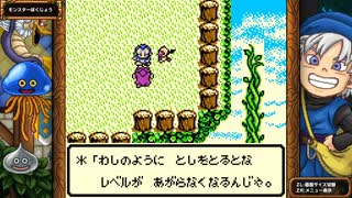 DQM1 テリーのワンダーランド 実況プレイ13