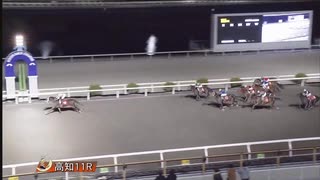 2024年11月30日高知競馬11R 冬支度特別(C2-1組) ホッコーハナミチ