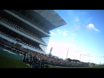 【ジョッキーカメラ】レモンポップ騎乗の坂井瑠星騎手ジョッキーカメラ映像｜2024年チャンピオンズカップ