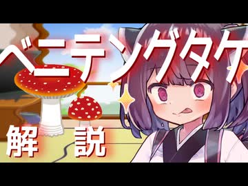 東北きりたんの毒キノコ解説『ベニテングタケとハエトリシメジ』