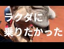 ラクダに乗りたかった【初音ミク】