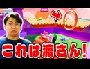お久しぶりぶりスクワッド。変顔中にエラーが到来する最後【フォールガイズ】