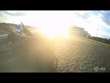 藤岡佑介 サインカード ペプチドナイル ホースレーシング 藤岡佑介 直筆サイン ペプチドナイル - メルカリ