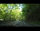 宮城県北から十和田湖方面ドライブ　56　奥入瀬渓流を東へ6　　2024　0615