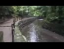 等々力渓谷@東京都世田谷区20210704　PIXEL5 楽天回線