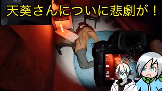 ついに願っていた光景が見られた幽霊調査員〈Phasmophobia〉