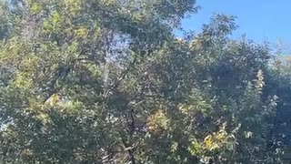 75480098641__90205649-12C8-4876-8434-803A13272B57