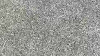 75481181059__42001C50-E47C-4219-B3EC-A9992978225B