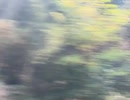 75481424140__447B389B-C609-40E2-9F85-C45CF71BBDAC