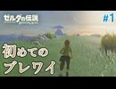【ゼルダの伝説BotW】初めてのブレワイ！折れない心で未知の世界へ！#1【実況】
