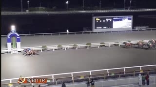 2024年12月1日高知競馬11R エリカ特別(C3-1組) ピンシャン