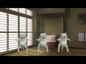 三匹のMUR猫.summertime