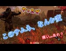 dbd　…あれ？