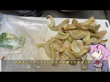 珍食材が食べたい！#203 ビワモドキ煮