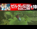 【ゆっくり実況】マスターモードで遊ぶブレワイ#10