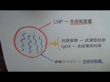 ファイザーワクチンの毒性と無効性