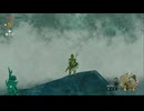 #60【ゼルダの伝説 ティアーズ オブ ザ キングダム】ドレファンが見つからない！